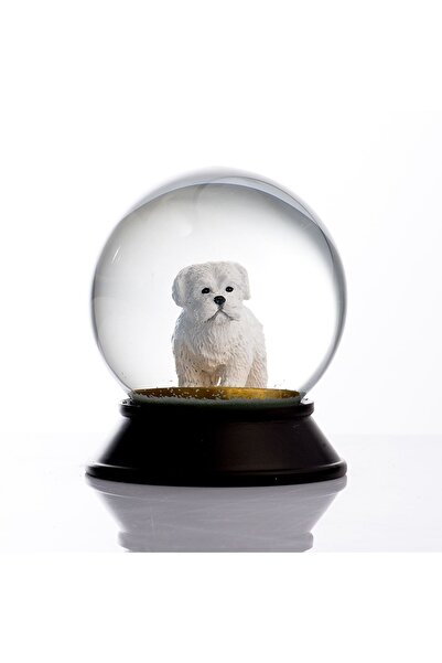 SNOOWG Cam ve Reçine Altın Patiler Maltese Terrier Kar Küresi