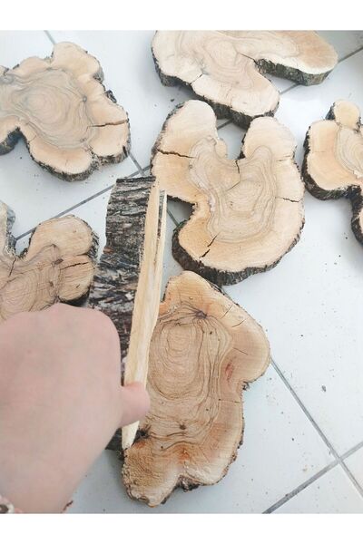 Handmade Epoksi Sehpa Masa Kütüğü Gölgede Kurutulmuş Dogal Zeytin Ceviz Kütüğ...