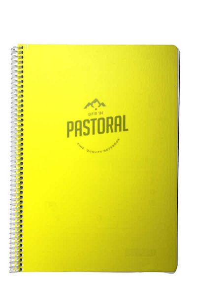 Gıpta A4 72 Sheets Lined Pastoral Spiral Plastic Cover Notebook