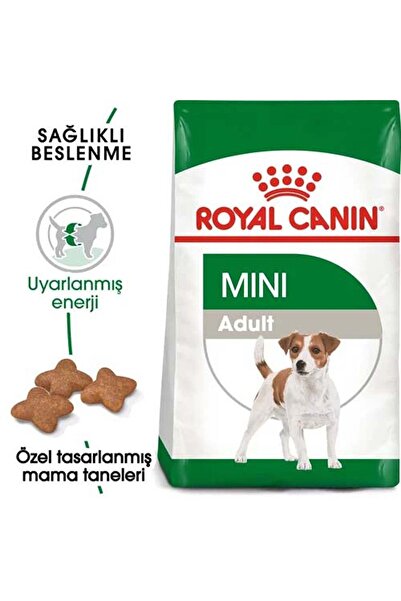Royal Canin Mini Adult Yetişkin Köpek Maması 2 Kg
