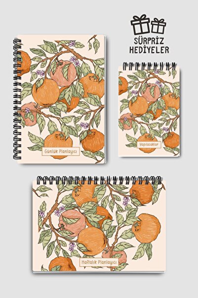 Eldesen Tasarım 3'lü Planlama Seti, Günlük Planlayıcı, Haftalık Planlayıcı, Y...