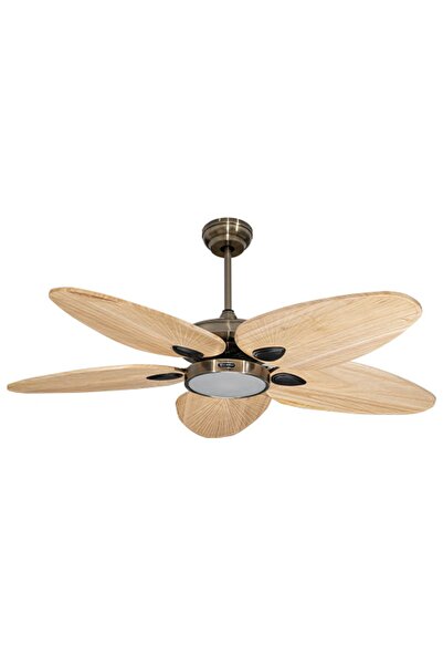 Alsanfan Galata Pirinç Motorlu Kremrengi Kanatlı V2 Aydınlatmalı Uzaktan Kuma...