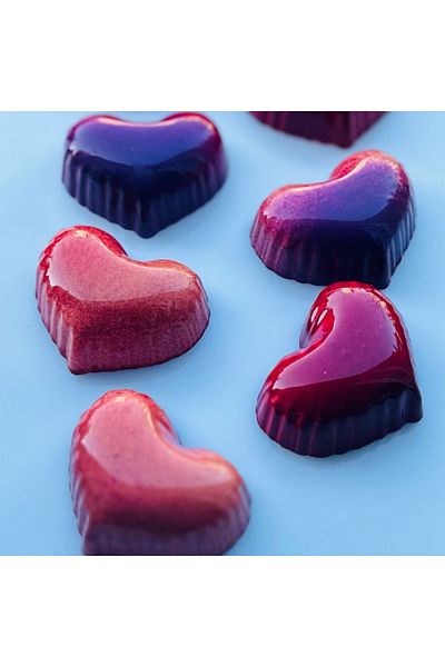 Greyas Cm 4063 Polycarbonate Chocolate Mold