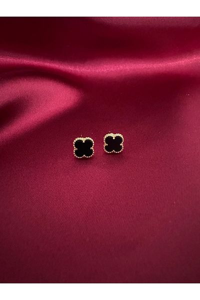 Vaveyla Steel Written Top Segment Vip Model Earrings