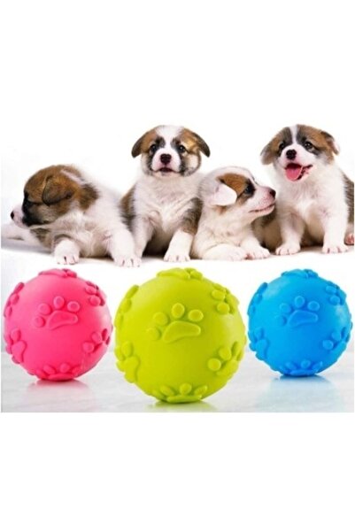 Toptanhane Köpek Isırma Topu Pati Desenli Küçük Top Isırma
