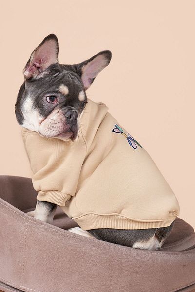 salya store Dog Apparel Balloon, Small and Medium Breed Dog Apparel