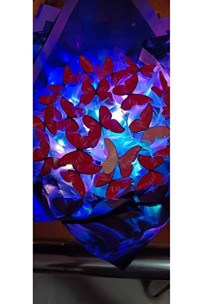 Redblue ledli kırmızı kelebek buketi