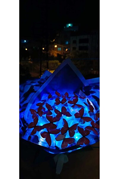 Redblue ledli kırmızı kelebek buketi