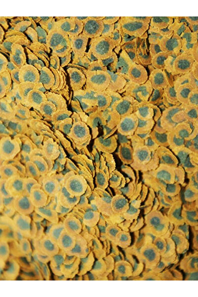 AMORE Tropical Mix Selection 125ml, PRO Algae Multi-Crisps 30gr ZipPack Balık Yemi, Multivitamin