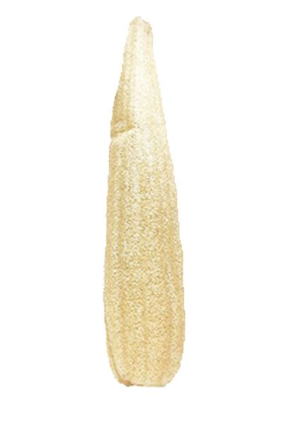 Peştemalcı Levent Pouch Hamm Pouch Pumpkin Fiber 60 70 Cm Raw Pumpkin Pouch Unprocessed Pumpkin Fiber