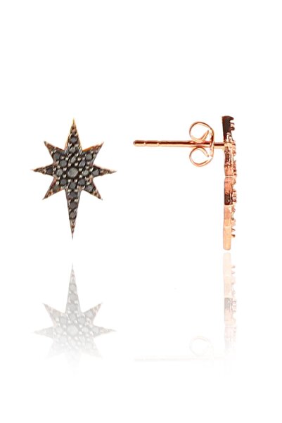 Söğütlü Silver Gümüş Siyah Taşlı Kutup Yıldızı Küpe Sgtl9158