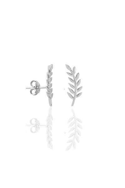 Söğütlü Silver Gümüş Rodyumlu Yaprak Modeli Küpe Sgtl11434rodaj