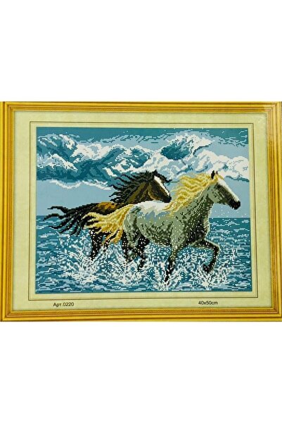 Genel Markalar Goblen Etamin Işleme Seti 40x50 Cm 220