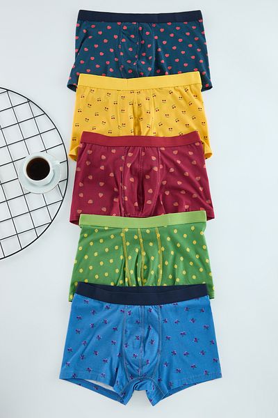 Trendyol Collection Різнокольорові труси-боксери з 5-ти штук з візерунком TMNAW25BX00004