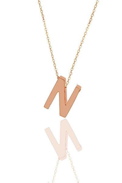 Söğütlü Silver Gümüş Rose Üç Boyutlu Minimal N Harf Kolye Sgtl11182n