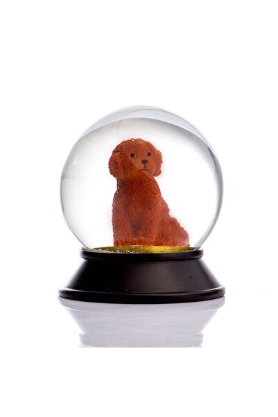 SNOOWG Cam Ve Reçine Altın Patiler Köpek Toy Poodle (tarçın) Kar Küresi Hediye