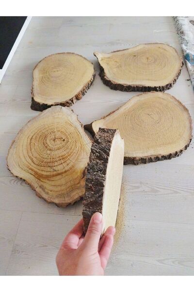 Handmade Epoksi Kütüğü Epoksilik Sehpa Kütük Zeytin Kütüğü Gölgede Kurutulmuş4 Adet 35cm