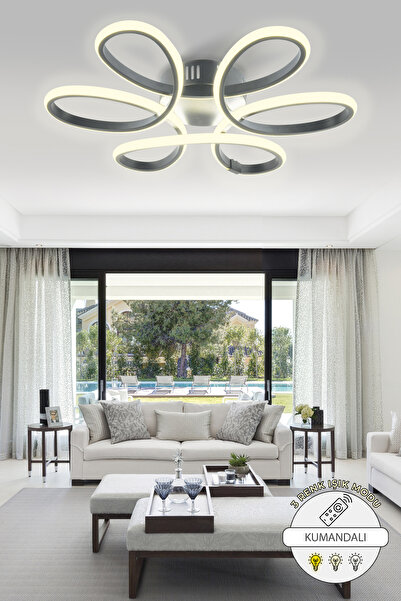 Capella Aydınlatma Rita Kumandalı 3 Renk Işık Özellikli Modern Füme Plafonyer...