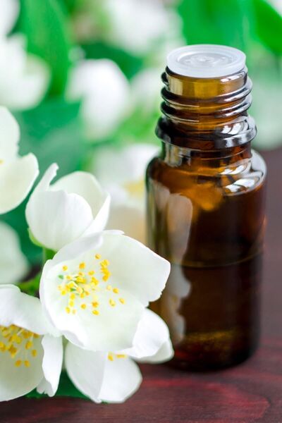 Jasmine Scented Incense Holder & Candle Essence 20ml
