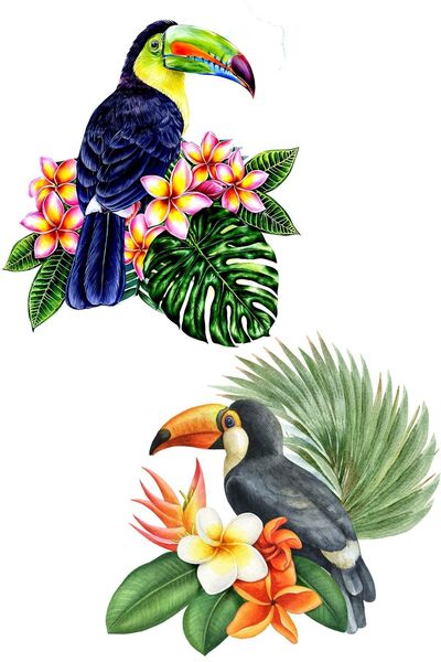 Genel Markalar 2li Uğur Getiren Tukan Kuşu Ahşap Duvar Dekoru