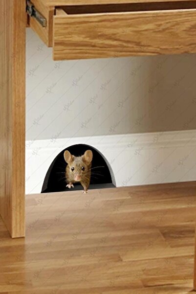 MSticker Delikten Bakan Fare Sticker - 3 Boyut Görünümlü Sevimli Sticker