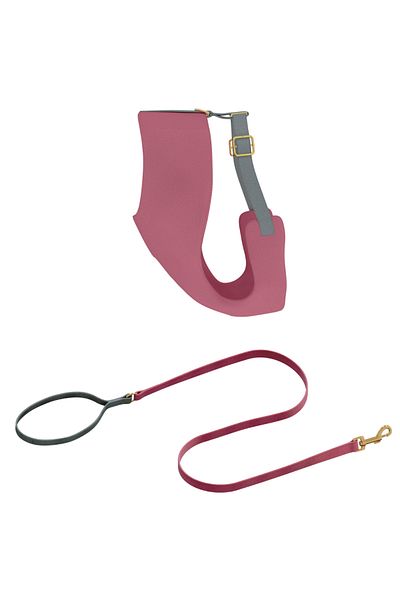 GoPawGo Supreme Soft Cat Chest Collar Set