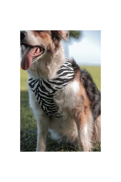 GoPawGo Shadow Soft Köpek Göğüs Tasması