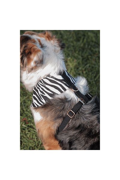 GoPawGo Shadow Soft - Dog Collar