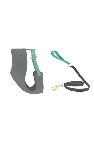 GoPawGo Alf Soft Dog Chest Collar Set