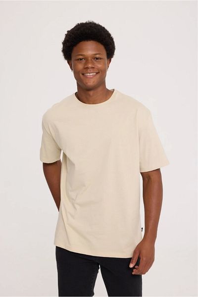The Crow Crew Neck Plain Stone Men's T-shirt Tc9010