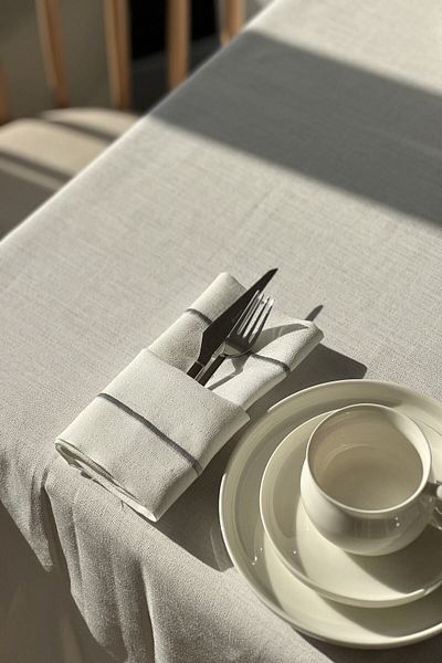 creaminhome 12 SERVETS WITH SILVER STRIP