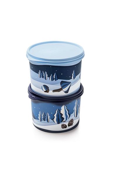 Tupperware Refrigerator Container Set of 2
