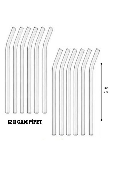 SURFACE HOME 12-Piece glass inclined straw