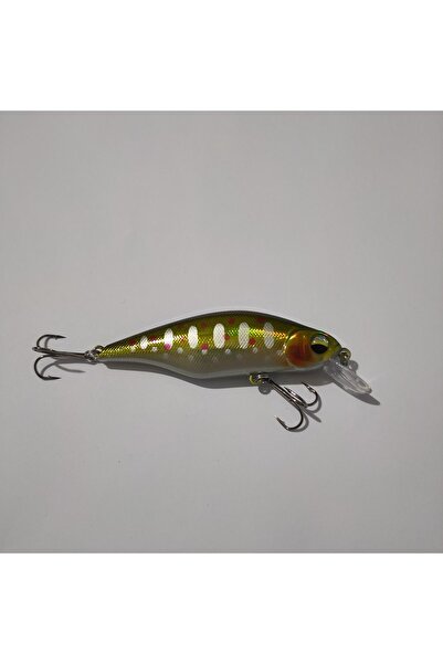 Bozok balıkçılık alabalık için rapala, maket balık, suni yem