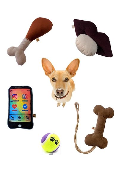 UTDpet 5-Piece Dog Toy Set (with Bone Toy)