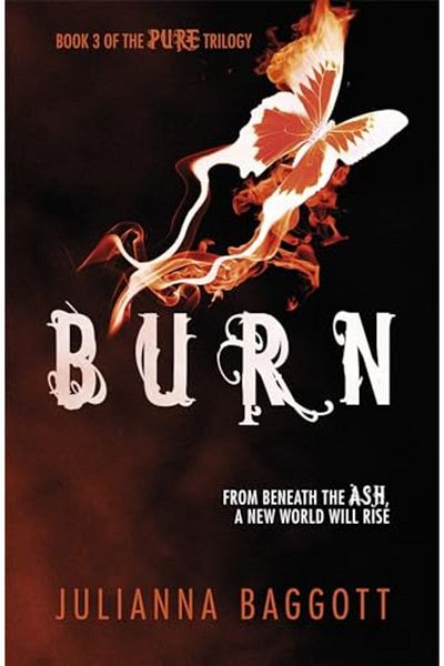 Hachette Burn Pure Trilogy 3