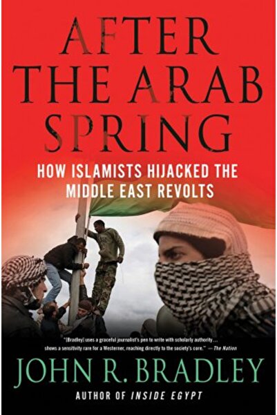 Springer بعد الربيع العربي: كيف اختطف الإسلاميون ثورات الشرق الأوسط