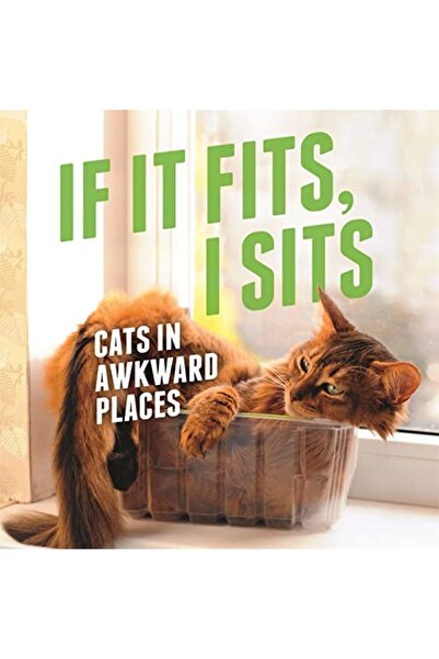 Hachette إذا كان الأمر مناسبًا، فأنا أجلس القطط في أماكن محرجة