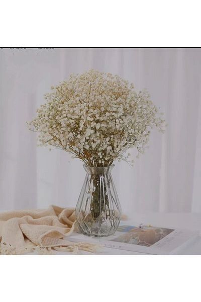 Basic Creation Λευκή Κρέμα Ποιότητας - Ζωντανό Άνθος Βάζου που δεν χυθεί