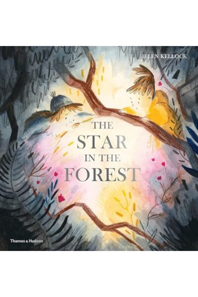 Hachette النجمة في الغابة