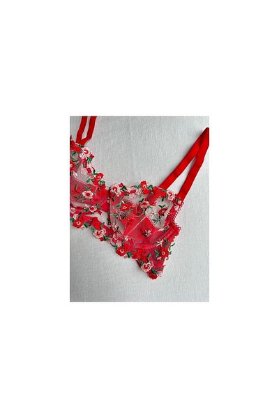 Sage Lingerie Red Flower Embroidered Underwire Tulle Bra Set