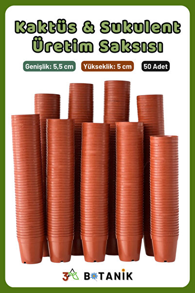 3A BOTANİK Kaktüs - Sukulent - Bitki Üretim Saksısı, 5,5 Cm, 50 Adet