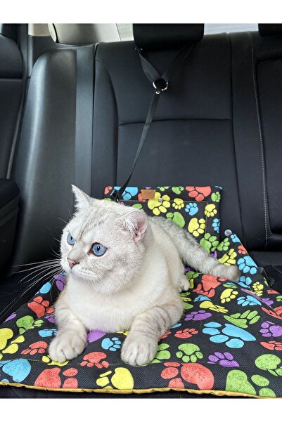 Patipatron Kedi Ve Küçük Irk Köpek Seyahat Kiti Araba Oto Tasması Ve Minderi