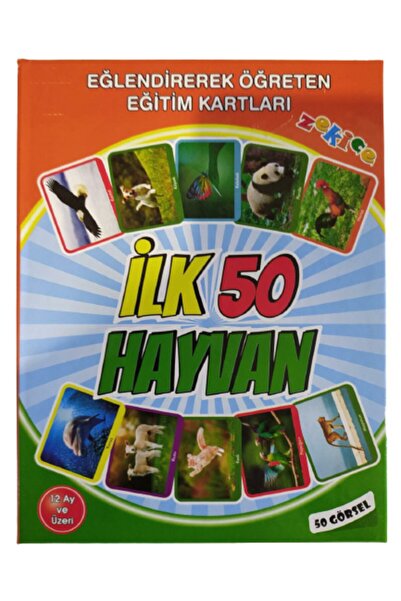 Zekice Ilk 50 Hayvan Eğitim Kartları Flash Cards