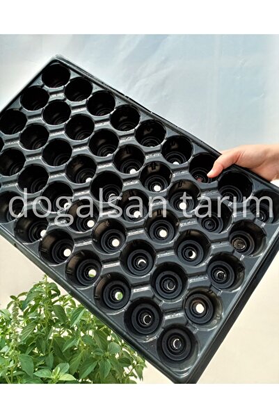 Doğalsan Tarım Fide Viyolü 45 Göz 10 Adet Fide Viyol Fide Viyolleri Fide Yeti...