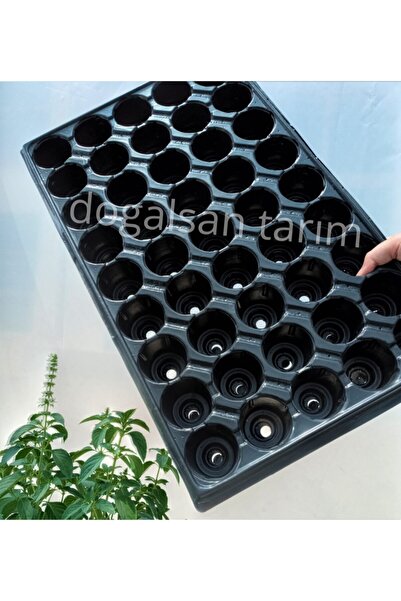 Doğalsan Tarım Fide Viyolü 45 Göz 10 Adet Fide Viyol Fide Viyolleri Fide Yeti...