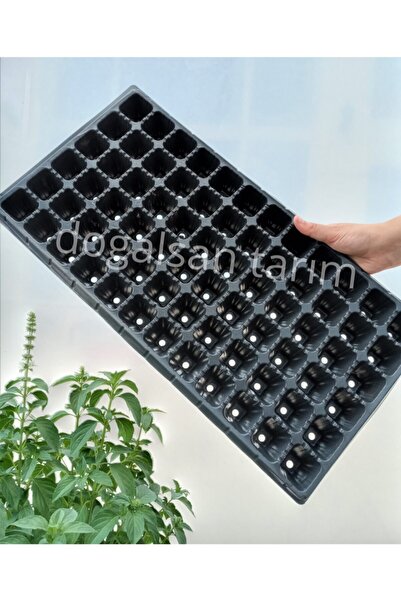 Doğalsan Tarım Fide Viyolü 72 Göz 4 Adet Fide Viyol Fide Viyolleri Fide Yetiş...