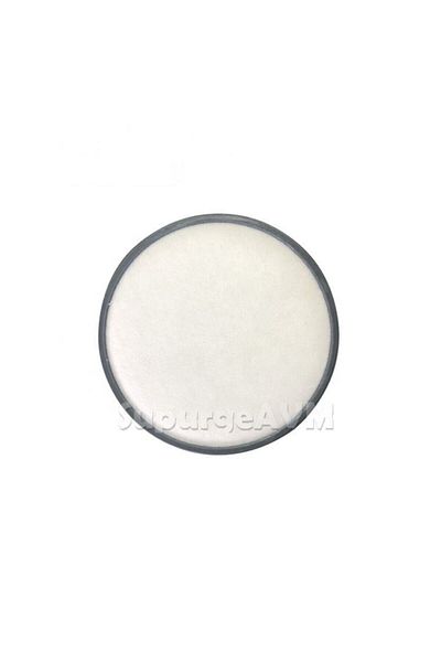 Rowenta Ro 3719 - Compact Power Cyclonic Sponge Filter