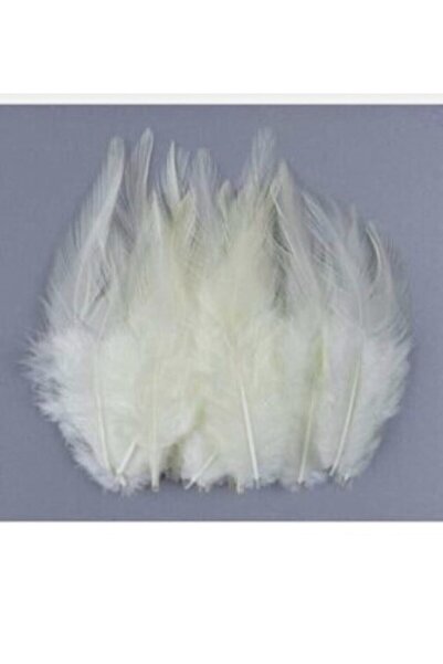 Genel Markalar Krem Kuş Tüyü 100 Adet Paketli El Işi Süsleme Hediyelik Ürün Y...