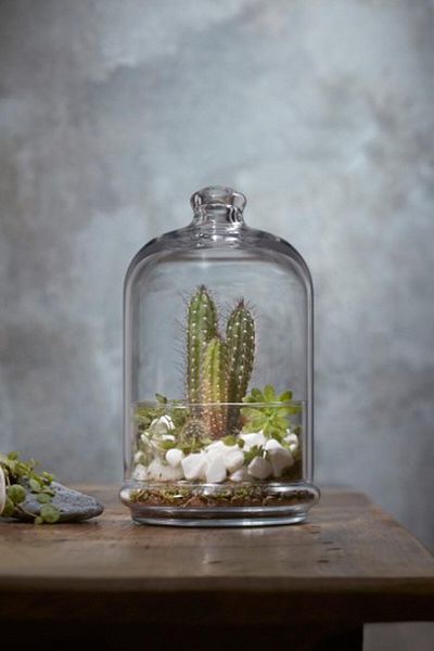 Paşabahçe Midi Patisserie Serving Jar